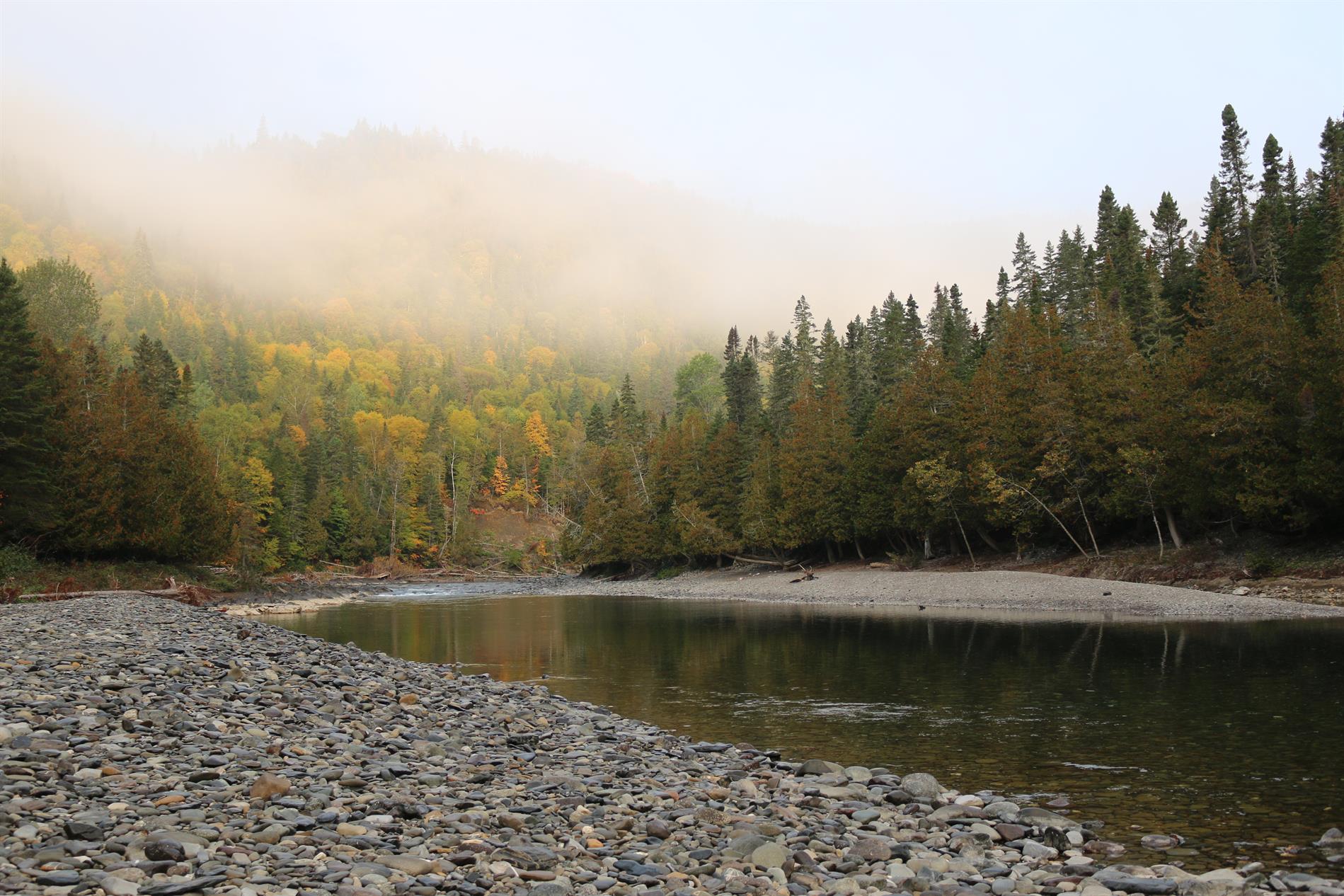 PLAN GLOBAL DE COHABITATION POUR LA RIVIÈRE BONAVENTURE