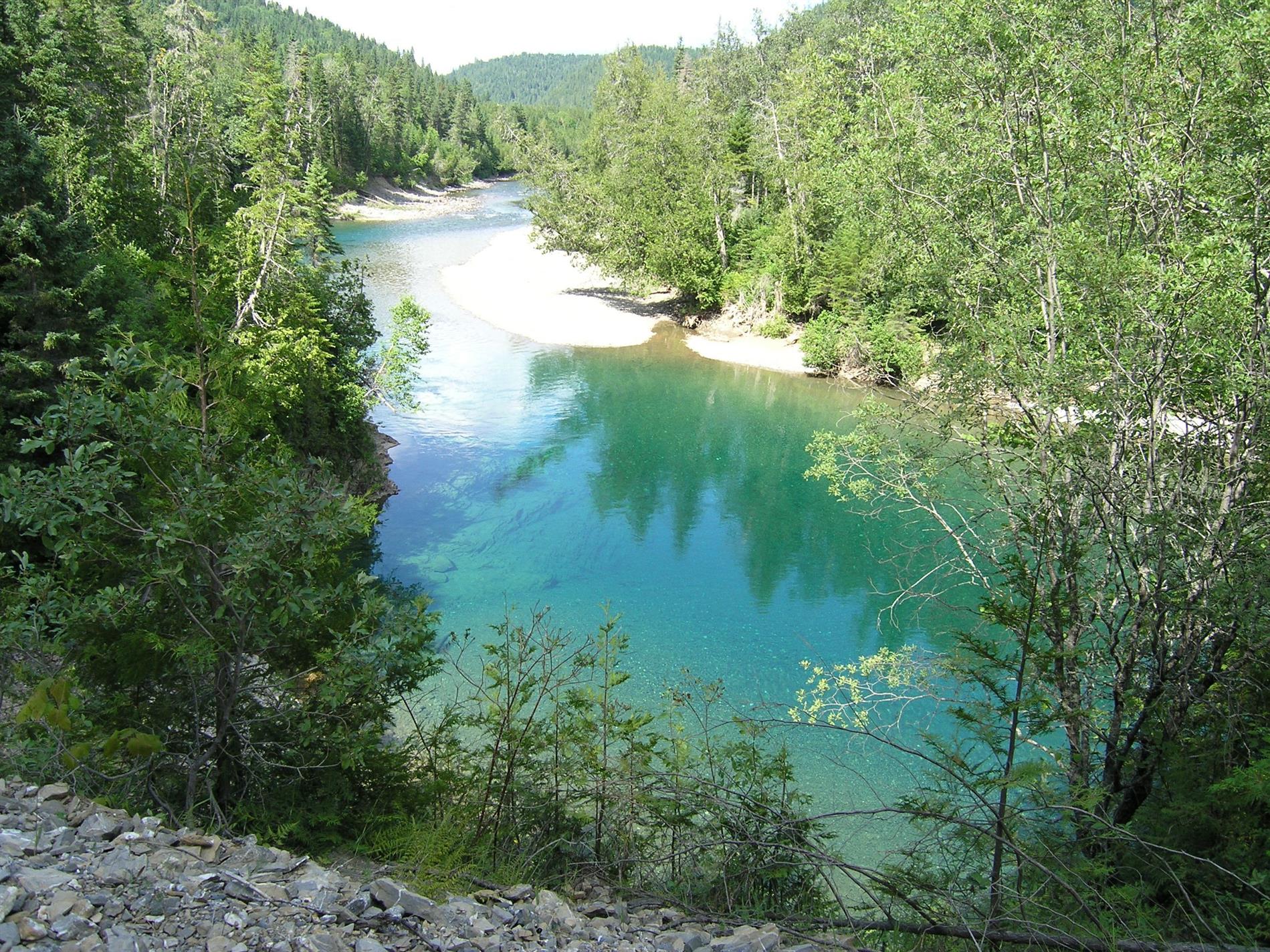 COHABITATION SUR LA RIVIÈRE BONAVENTURE 